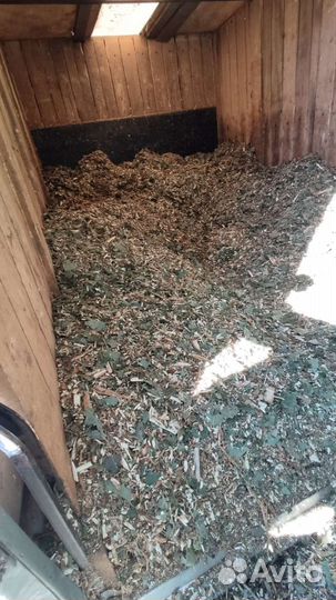 Щепа, мульча, органическое удобрение Бесплатно