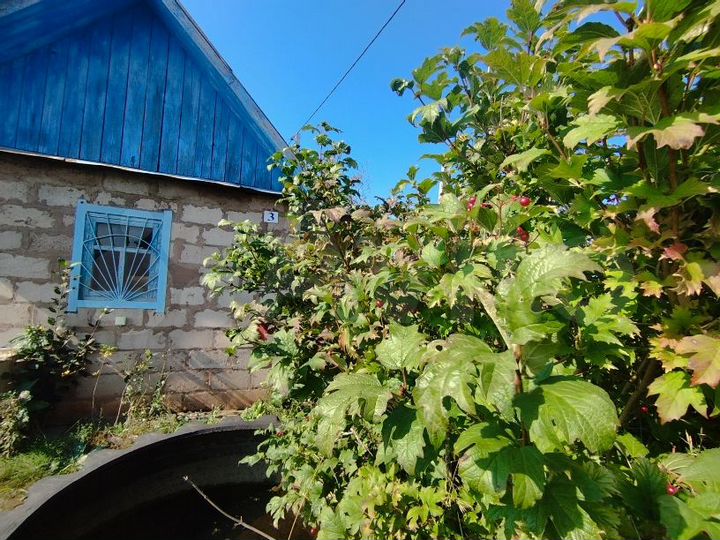 Участок 16 сот. (СНТ, ДНП)