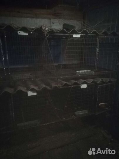 Клетка для кролика
