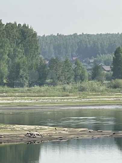 Участок 20 сот. (СНТ, ДНП)