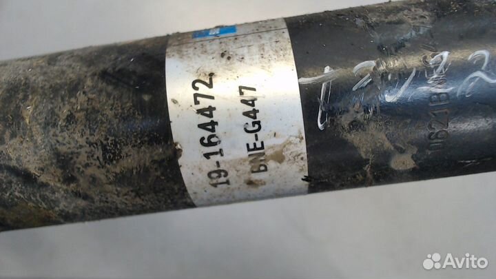 Амортизатор подвески Audi A4 (B7), 2005