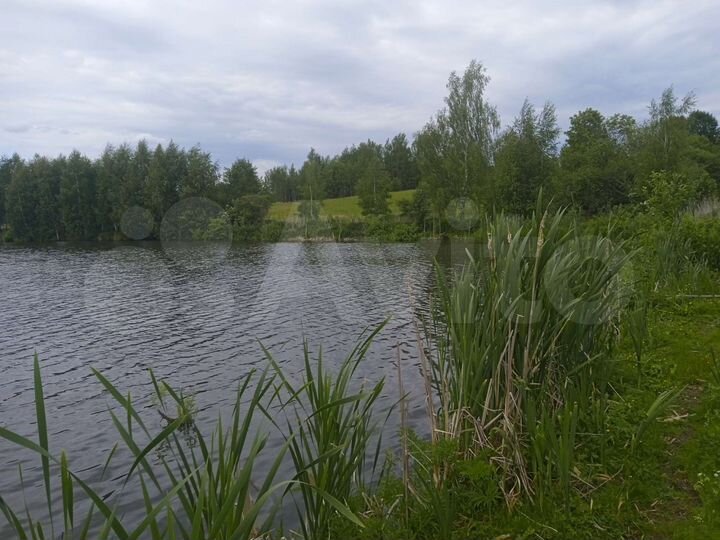 Участок 25 сот. (ИЖС)