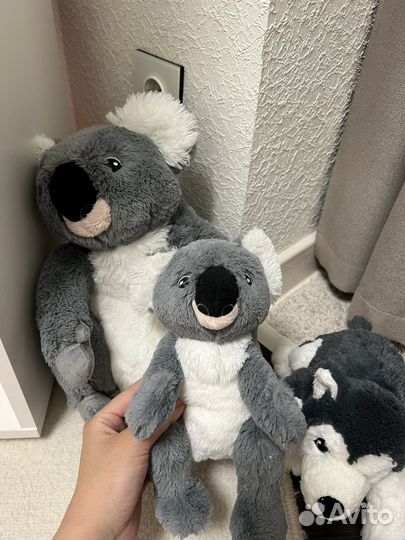Мягкие игрушки из IKEA коала, хаски щенок