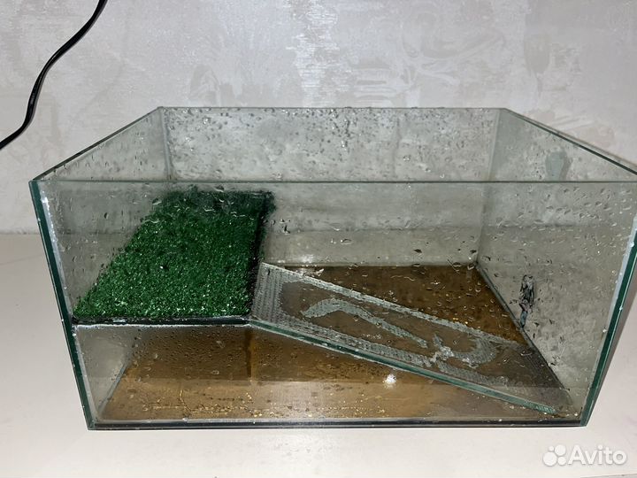 Черепашатник