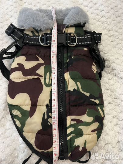 Одежда для собак