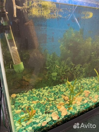 Аквариум с тумбой