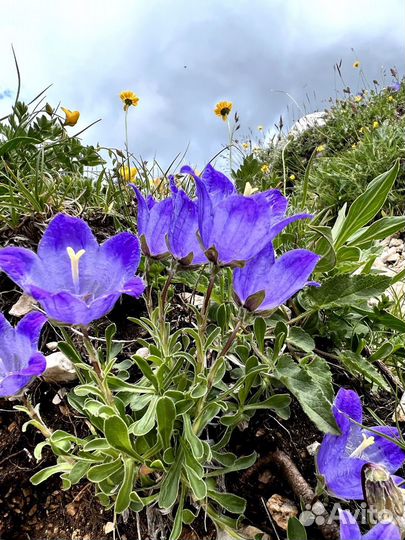 Трекинг-тур выходного дня Великолепие Лаго-Наки