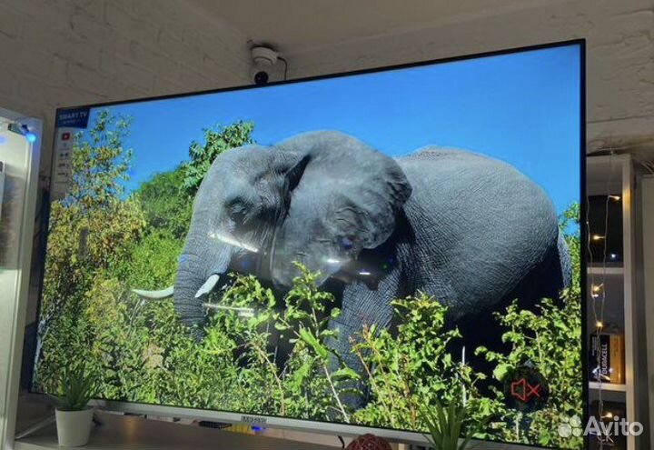 Телевизор BekoHD 45