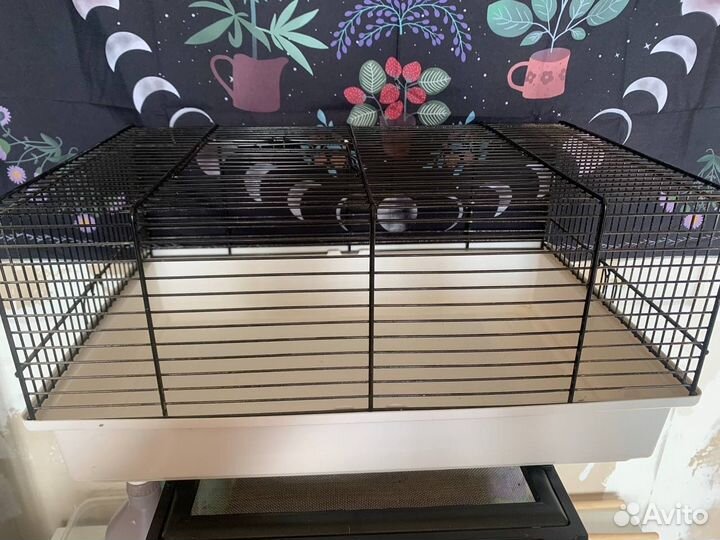 Клетки для грызунов