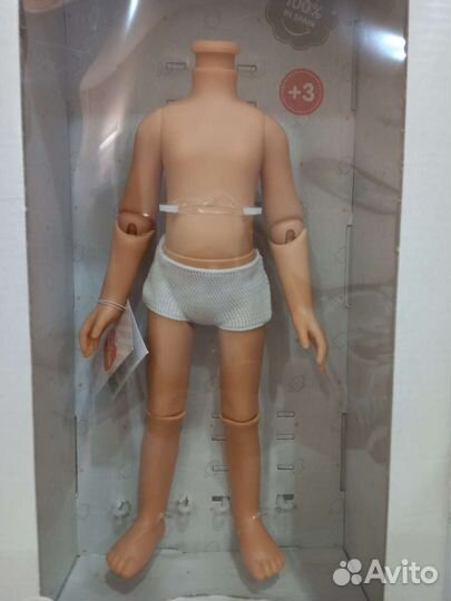 Шарнирное тело Паола Рейна