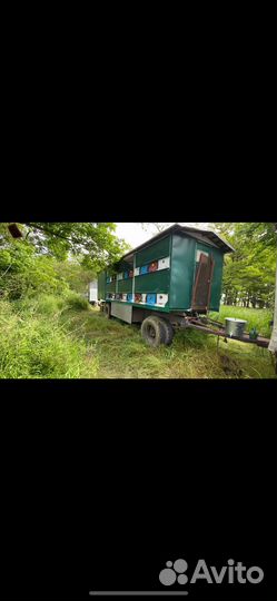 Пчелопавильон