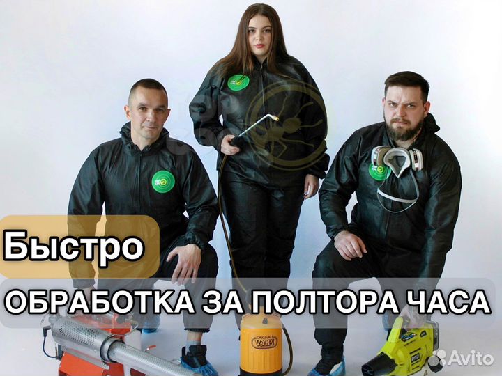 Обработка участков от клещей, кротов, шершней