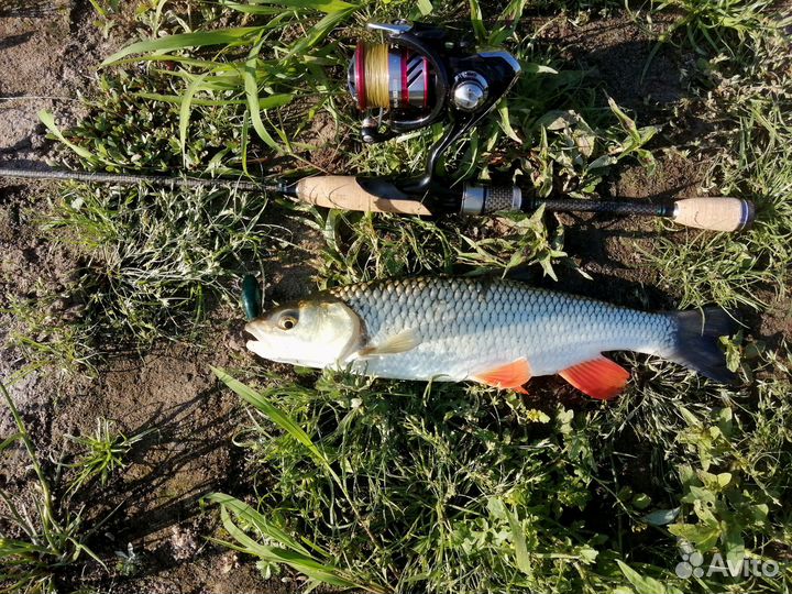 Спиннинг ультралайт Maximus Legend Ultras 18UL