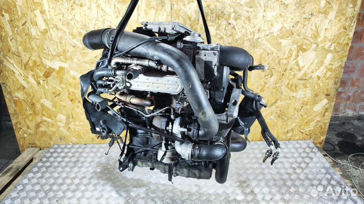 Двигатель Volkswagen Golf 5 2005 BXF 1.9