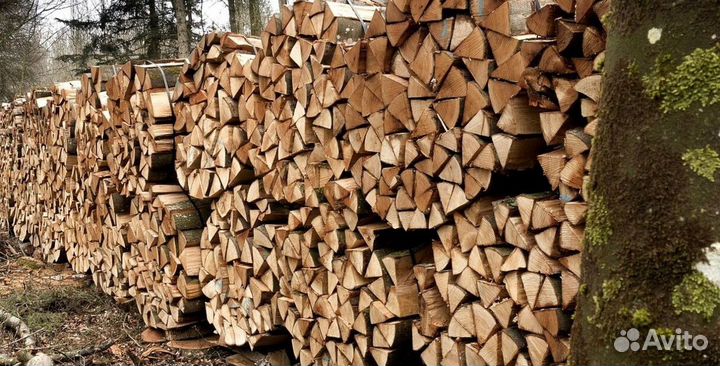 Дрова береза осина ольха