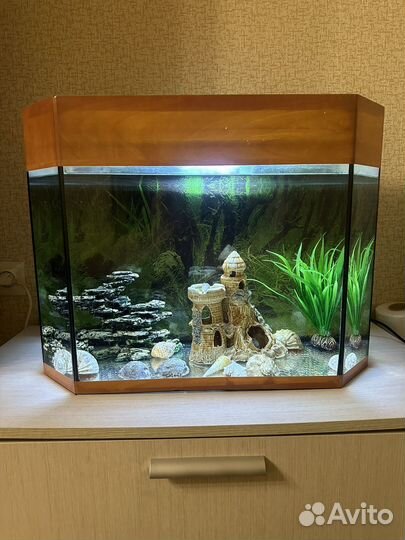 Аквариум 30 литров