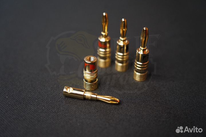 Терминал Nakamichi gold 24K 