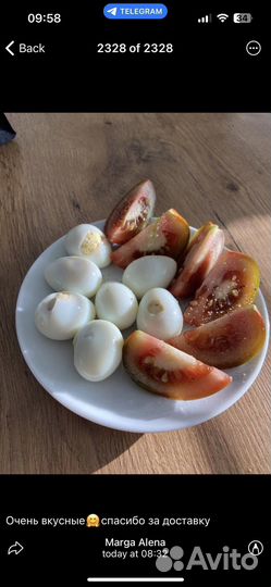 Яйца перепелиные от фермера доставка обмен