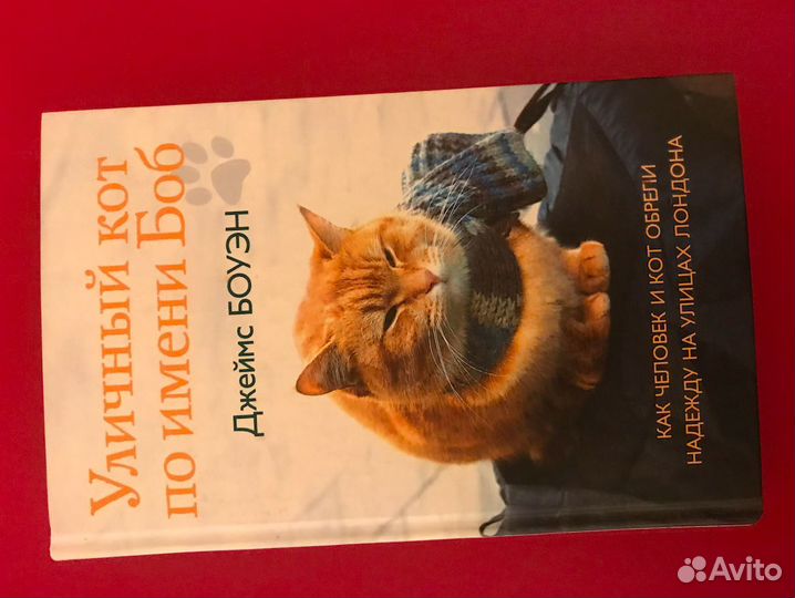 Книга уличный кот по имени боб
