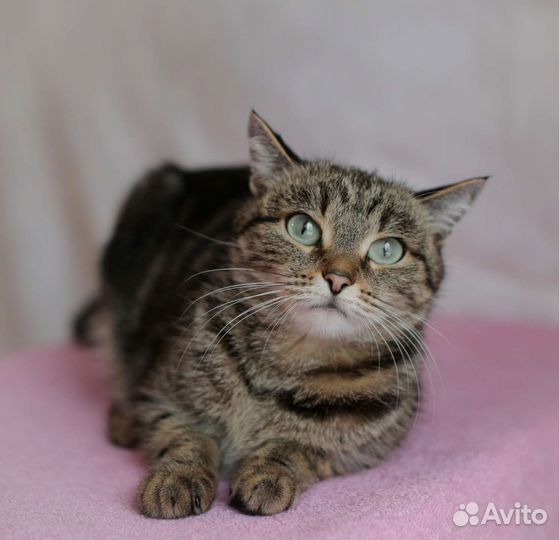 Подросток девочка 6 месяцев