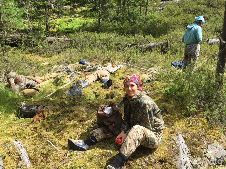 Исландский мох