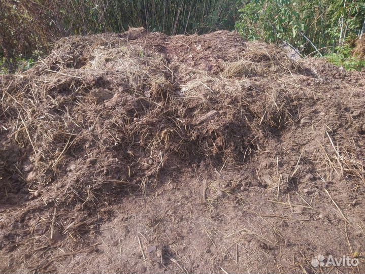 Навоз конский