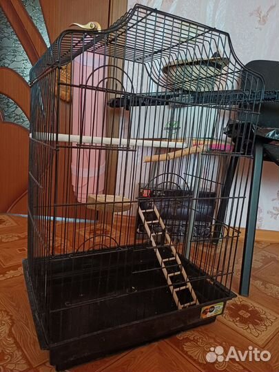 Клетка для попугая корелла