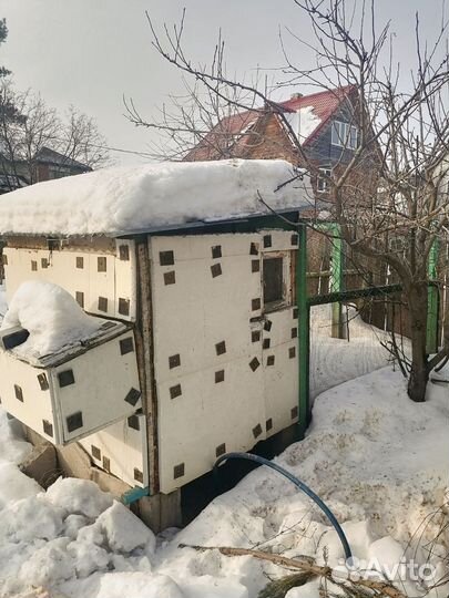 Курятник утеплённый на 15 курочек