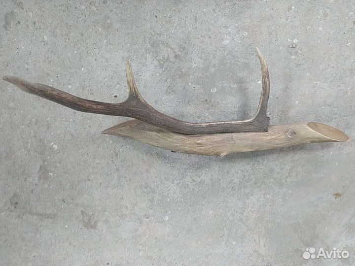 Рога лося вешалка