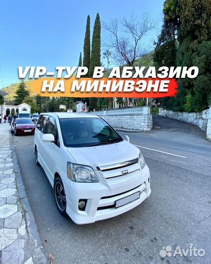 VIP-тур в Абхазию на минивене, экскурсии в Абхазию