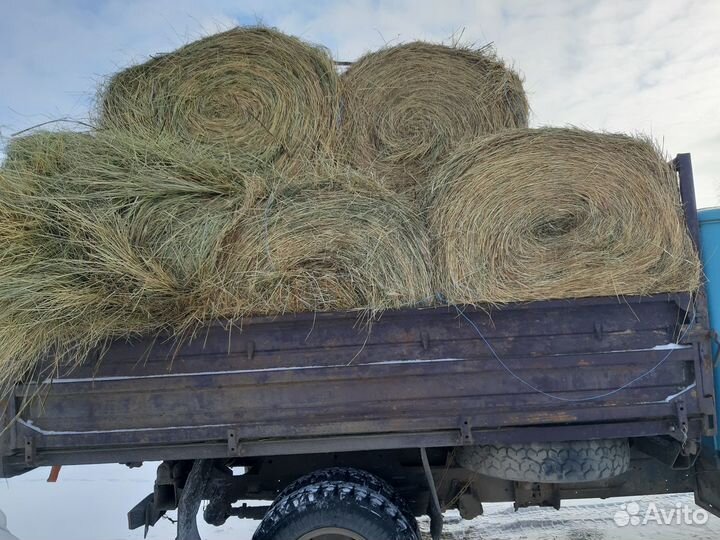 Сено отличного качества