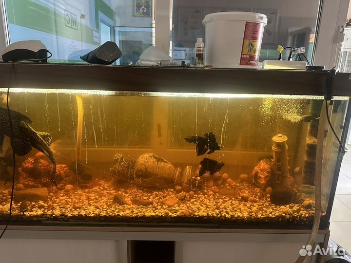 Аквариум с тумбой 500 литров