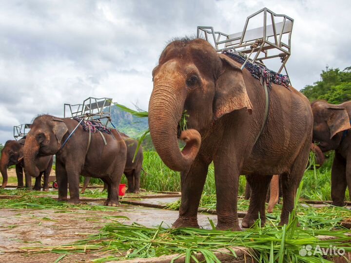 Тур-путешествие в Phuket на 7 ночей за двоих