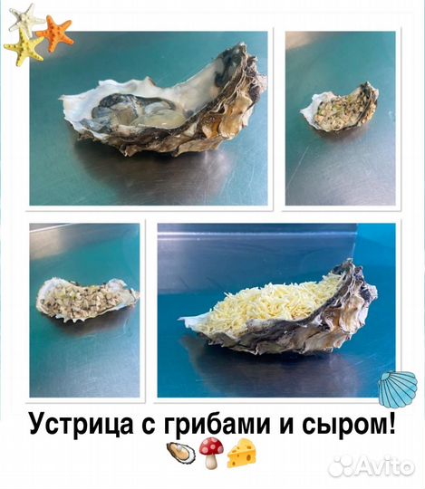 Морепродукты прямиком с корабля
