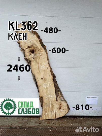 Слэб клен сухой