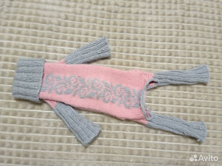 Одежда для маленьких собак