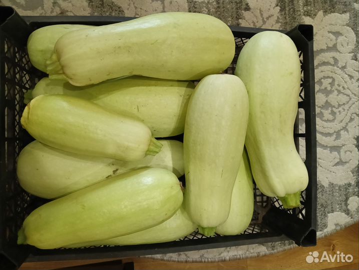 Картофель, кабачки, тыква, консервация,варенье,сок