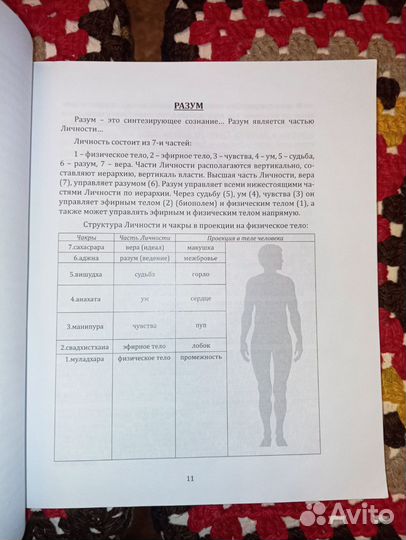 Олег Булаев. Разум