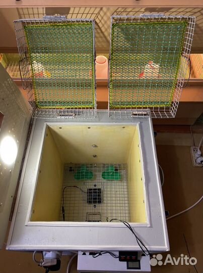 Инкубатор для яиц