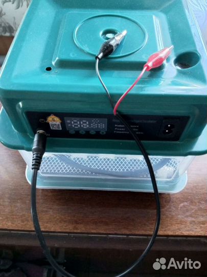 Инкубатор для яиц автоматический