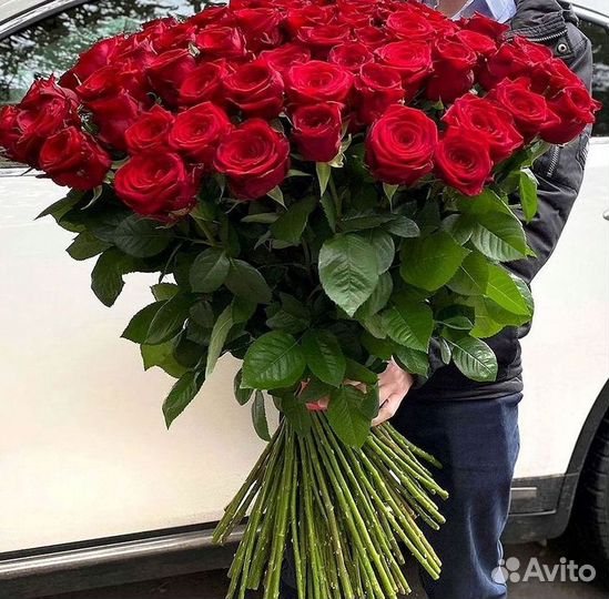 101 роза цветы букеты доставка 25 51 101 роза