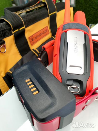 Garmin Astro 900 + T9 US