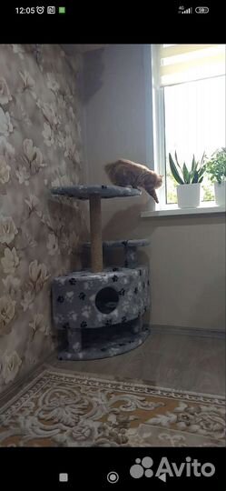 Домик для кошки