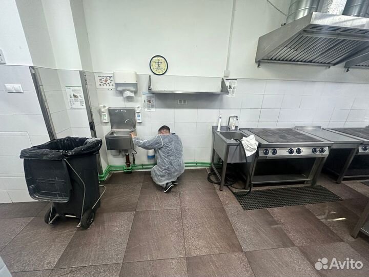 Уничтожение Тараканов, Клопов, Мышей, Клещей