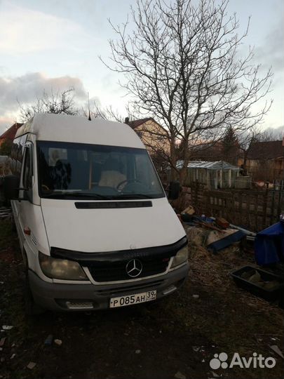 Микроавтобус экскурсии гид трасфер