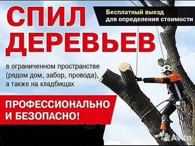 Спилить дерево, обрезка плодовых. Услуги садовника