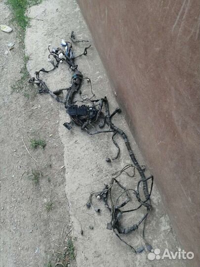 Проводка подкапотная/жгут проводов эбу Mazda 6 GG