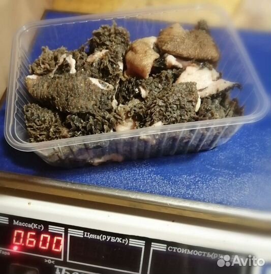 Натуральный корм собакам