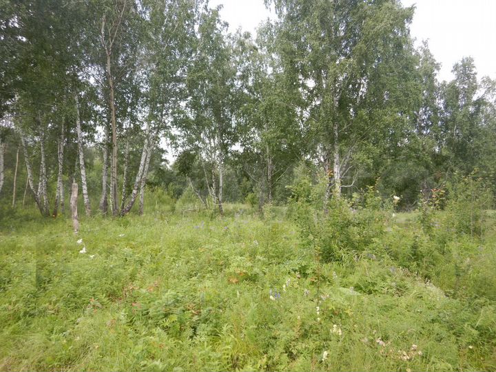 Участок 12,3 сот. (СНТ, ДНП)