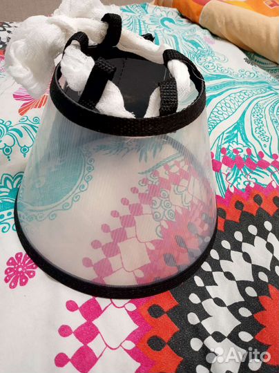 Воротник защитный для кота (собаки)